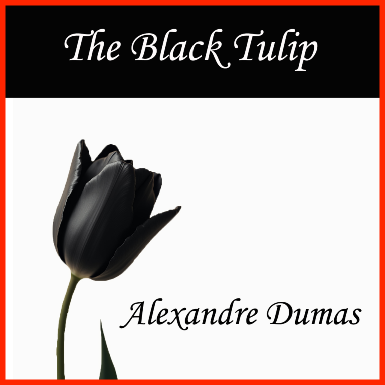 The Black Tulip